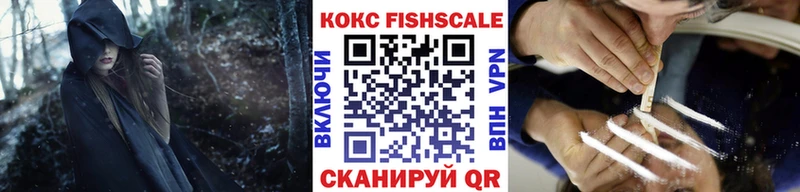 COCAIN Fish Scale  где продают   Новозыбков 