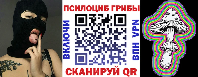 Псилоцибиновые грибы мицелий где продают Новозыбков
