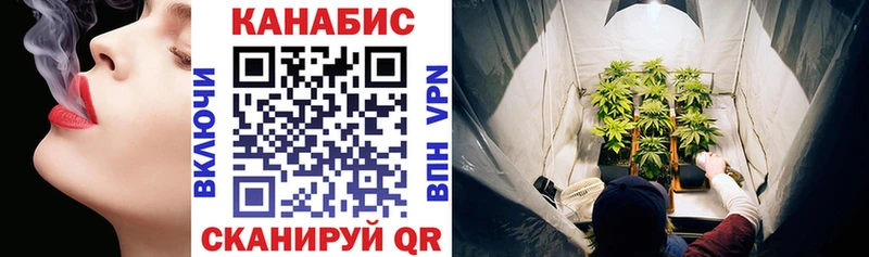 где купить наркотик  Новозыбков  omg как зайти  Бошки Шишки LSD WEED 